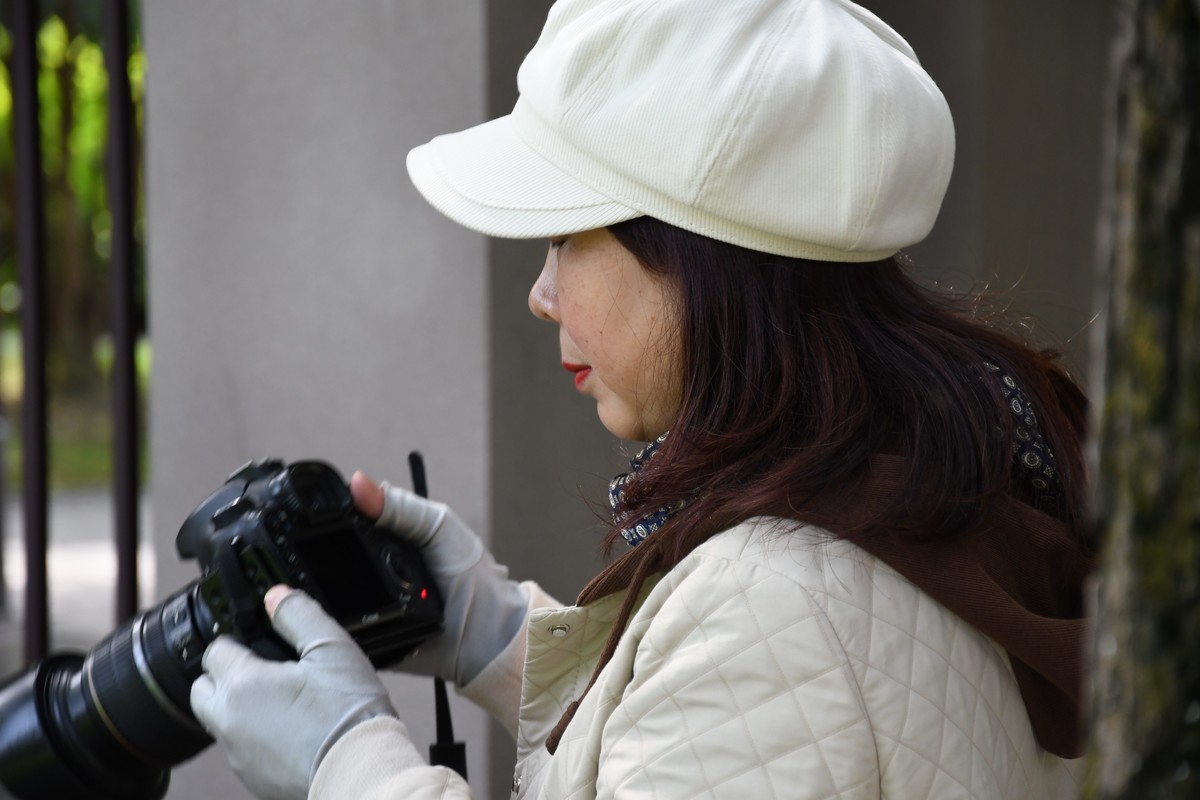 华西坝钟楼前后荷叶一遍綠油油