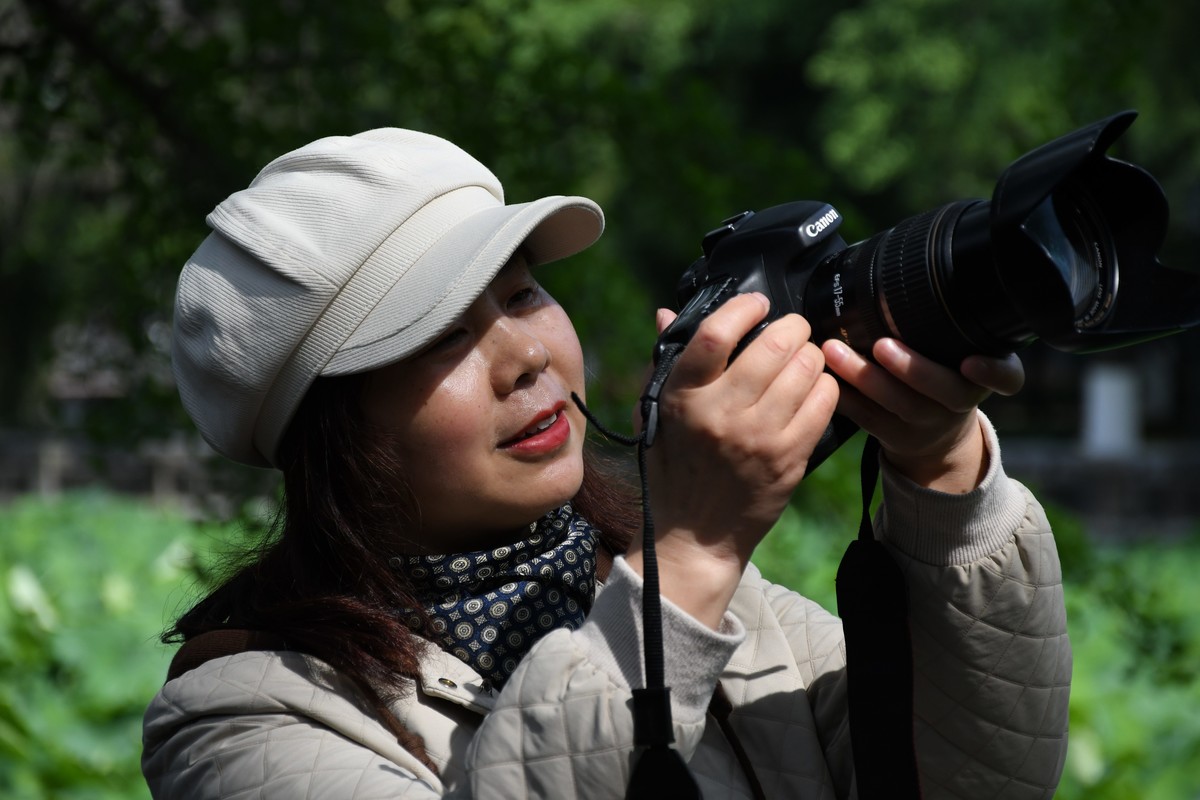 华西坝钟楼前后荷叶一遍綠油油