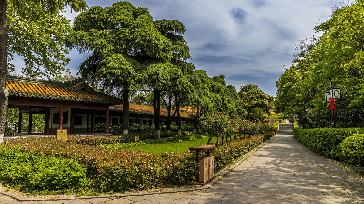 阅江楼风景独好！