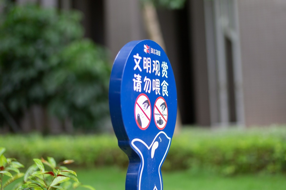 国产镜头 永诺 50mm F1.4 值得拥有