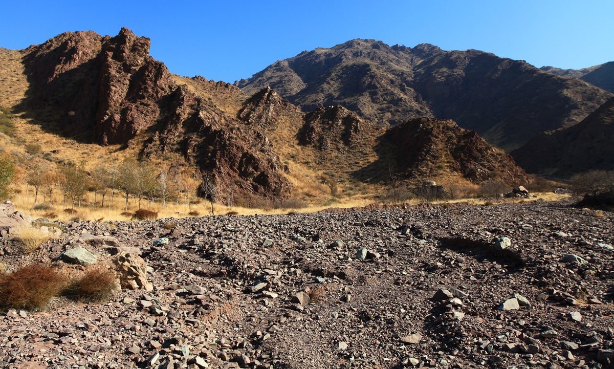 无敌兔依然能打啊！