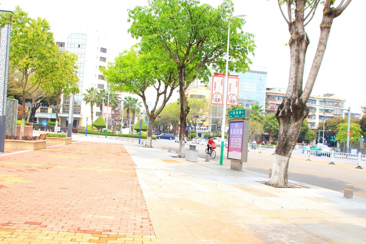 返回列表发表新帖签到 美丽的集美湾海边风光摄影机-2