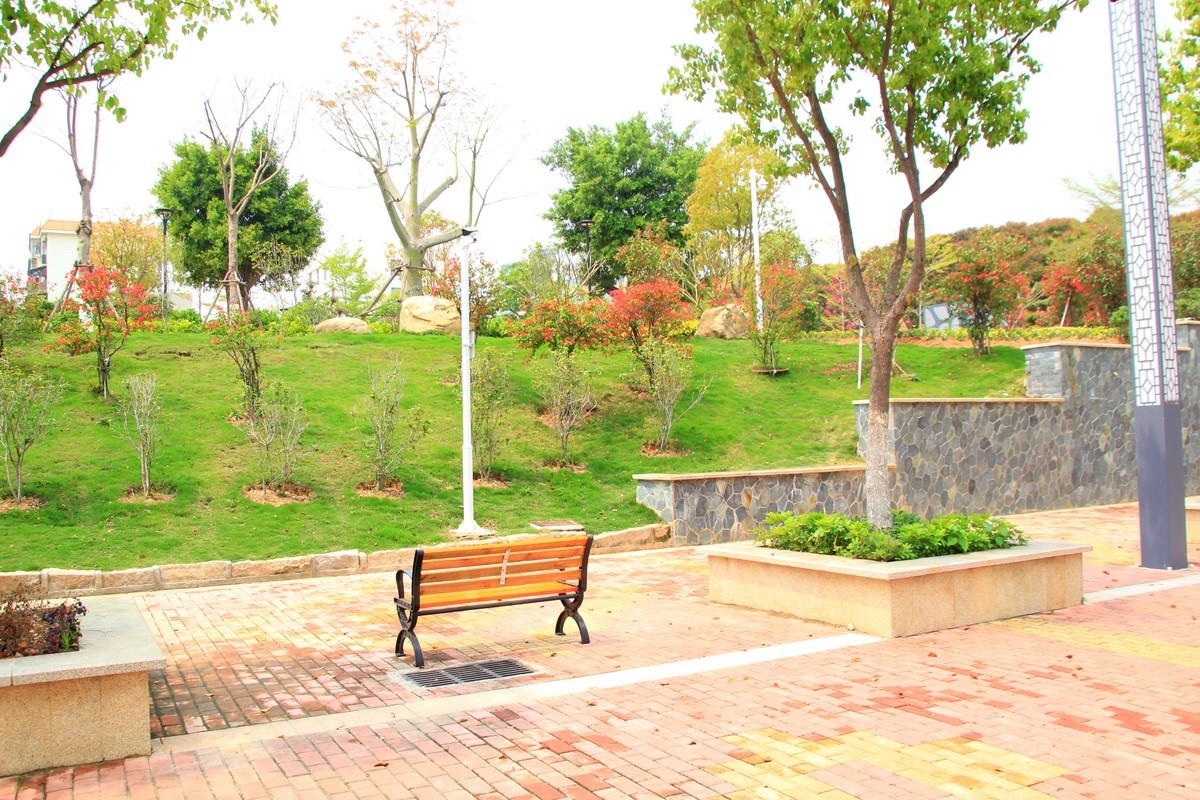 返回列表发表新帖签到 美丽的集美湾海边风光摄影机-2