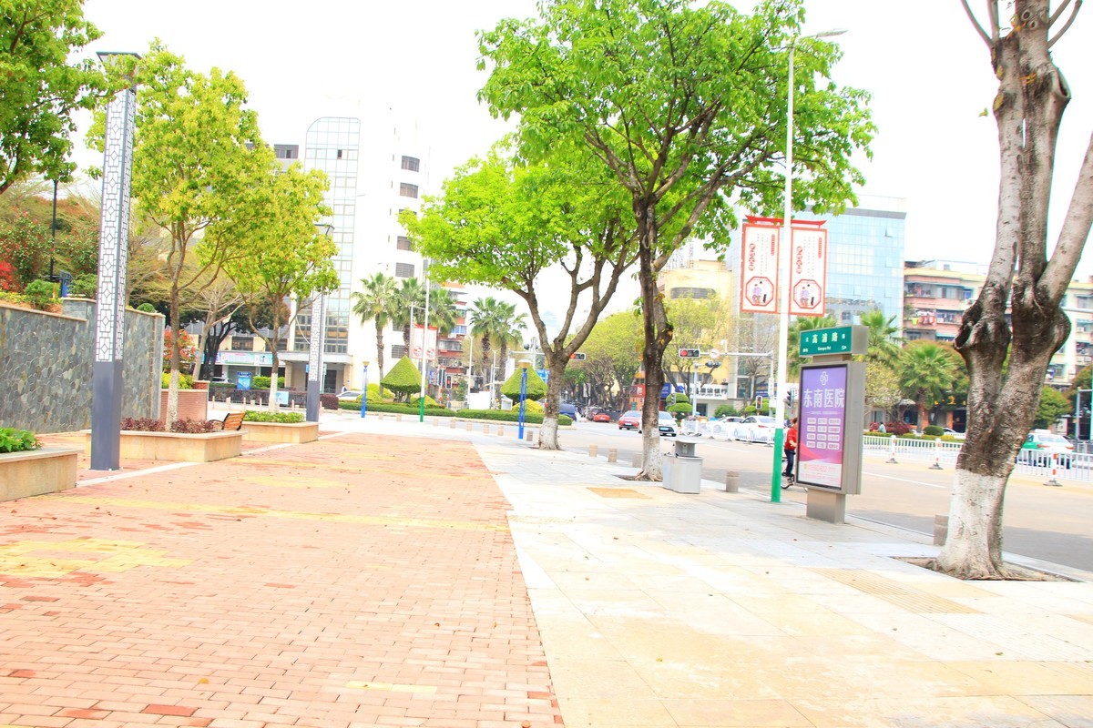 返回列表发表新帖签到 美丽的集美湾海边风光摄影机-2