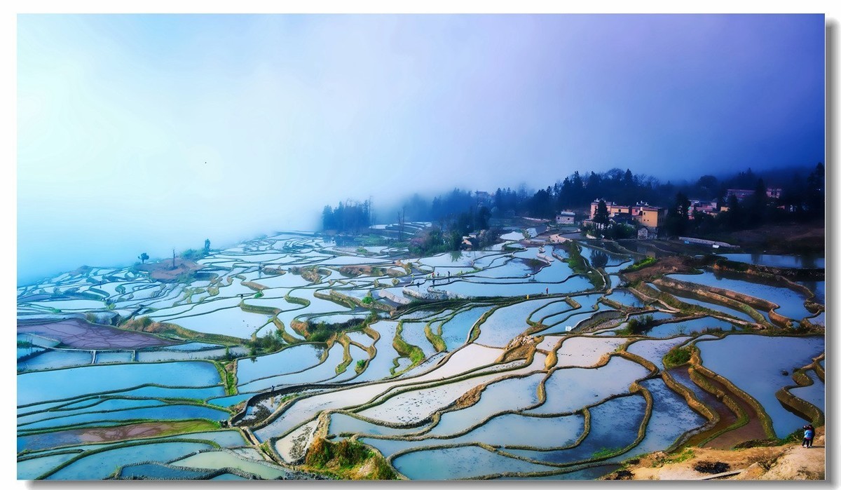 雾蒙蒙中的元阳梯田