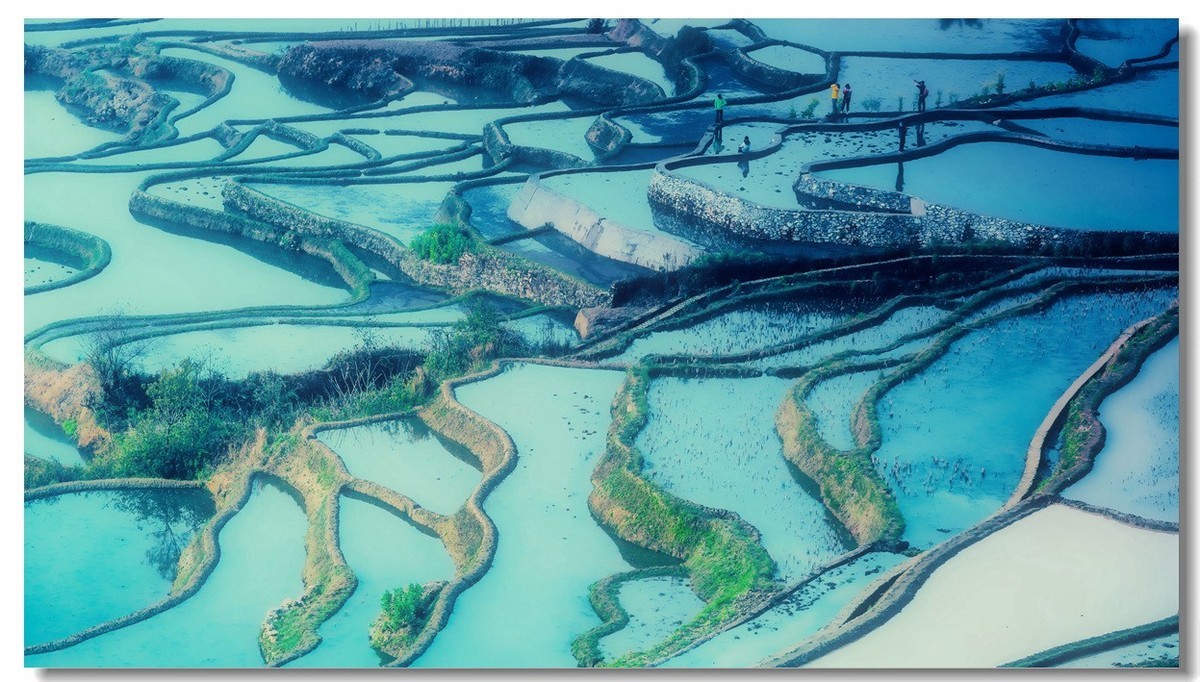 雾蒙蒙中的元阳梯田