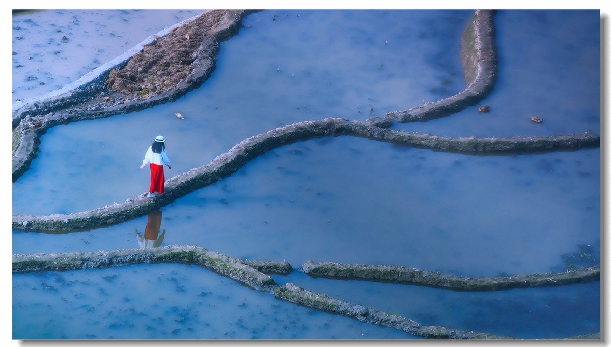 雾蒙蒙中的元阳梯田