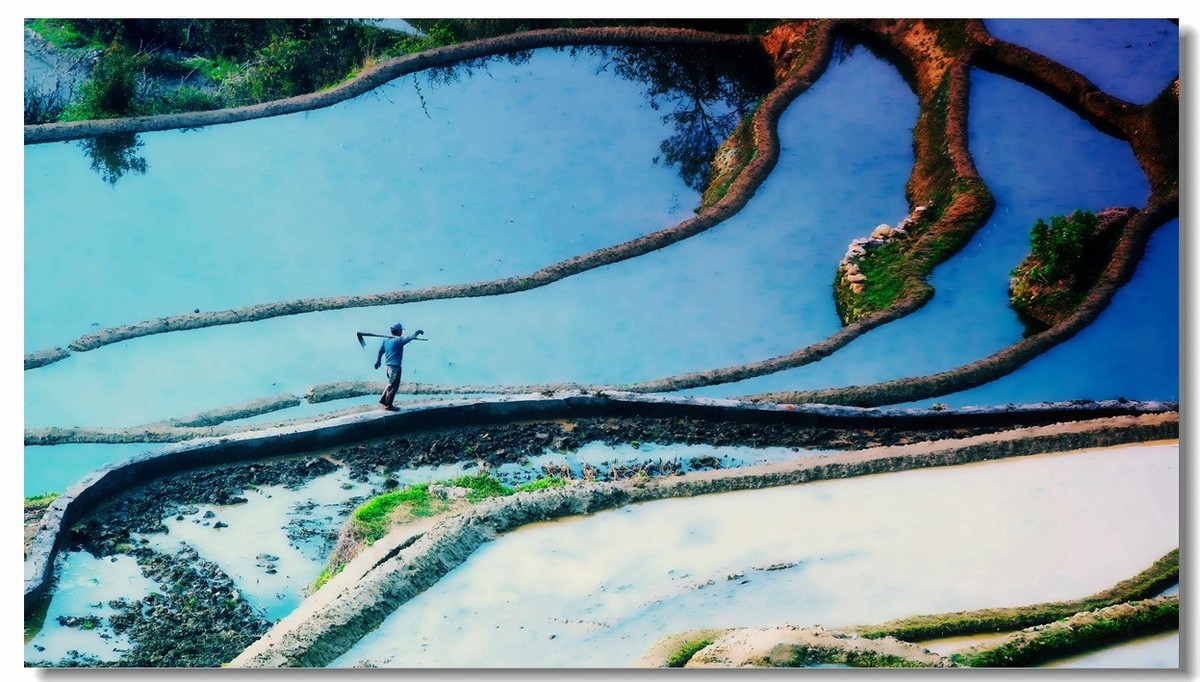 雾蒙蒙中的元阳梯田