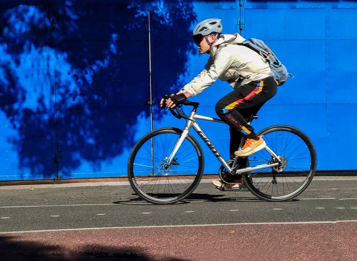 浦江东岸滨江（2）