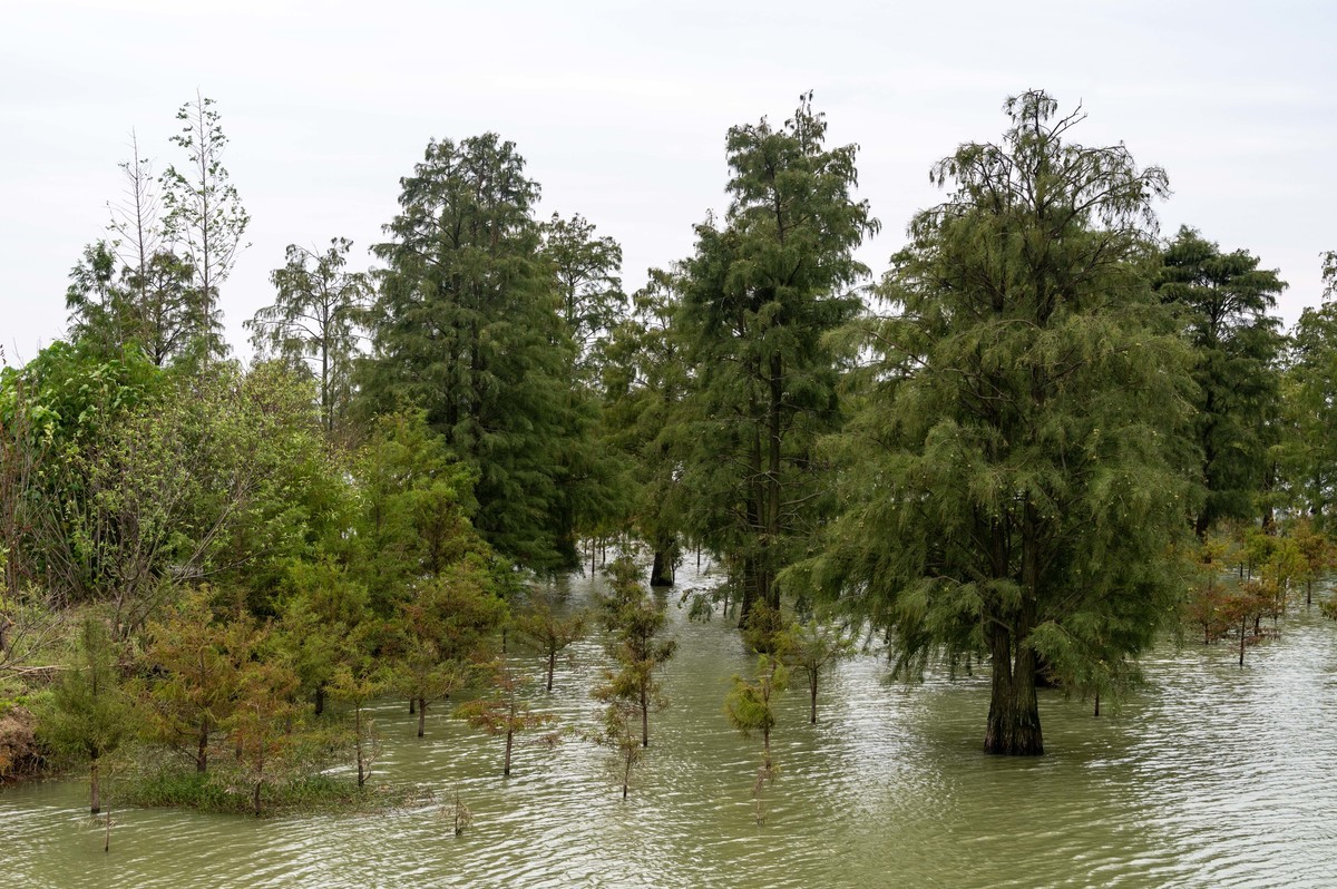 庐州印象（388）