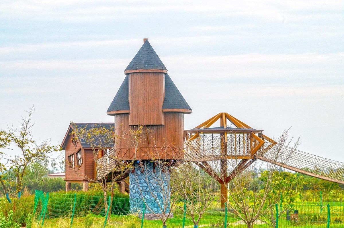 庐州印象（388）