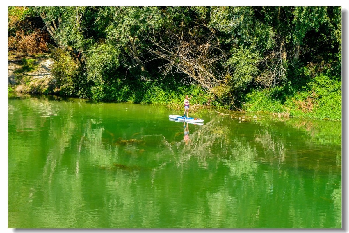 “莱茵河”写真