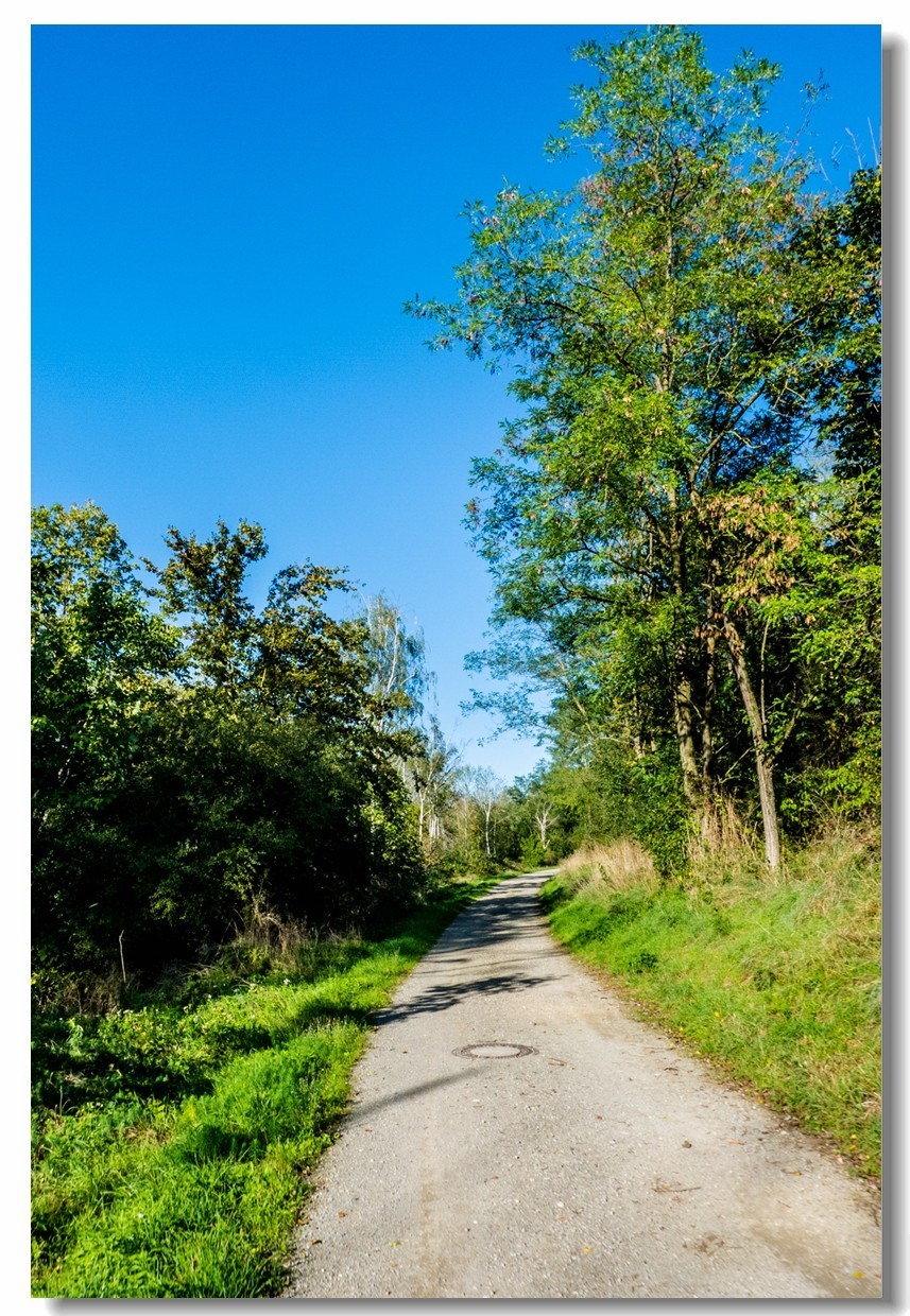 骑行间纪实（南德莱茵河岸画廊）