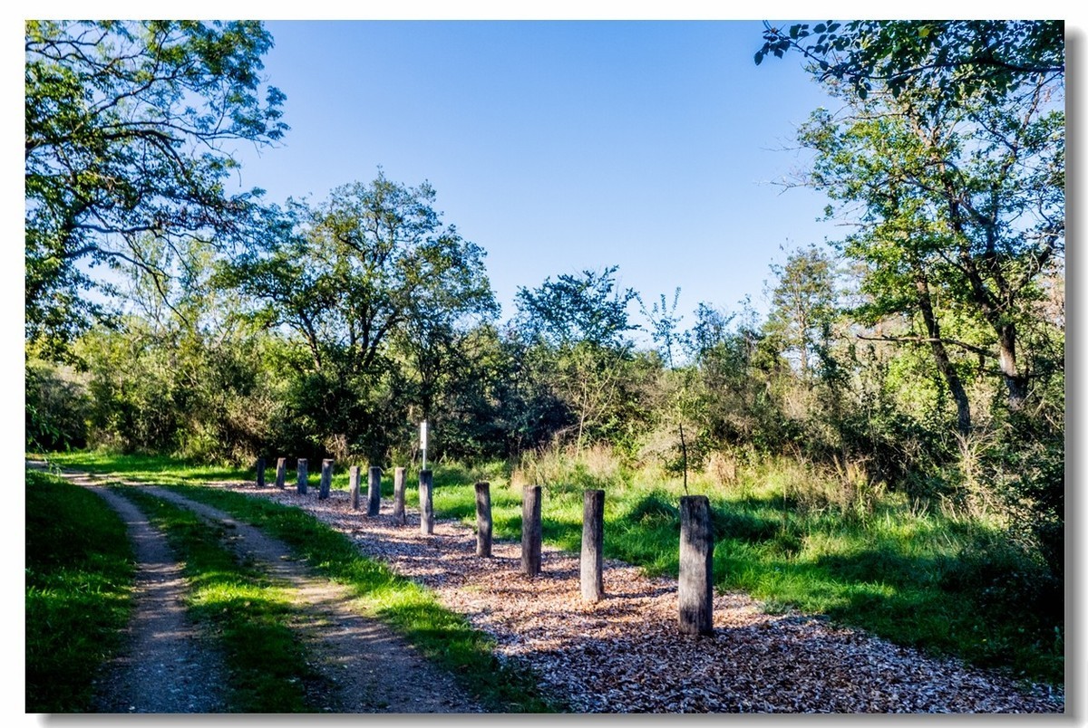 骑行间纪实（南德莱茵河岸画廊）
