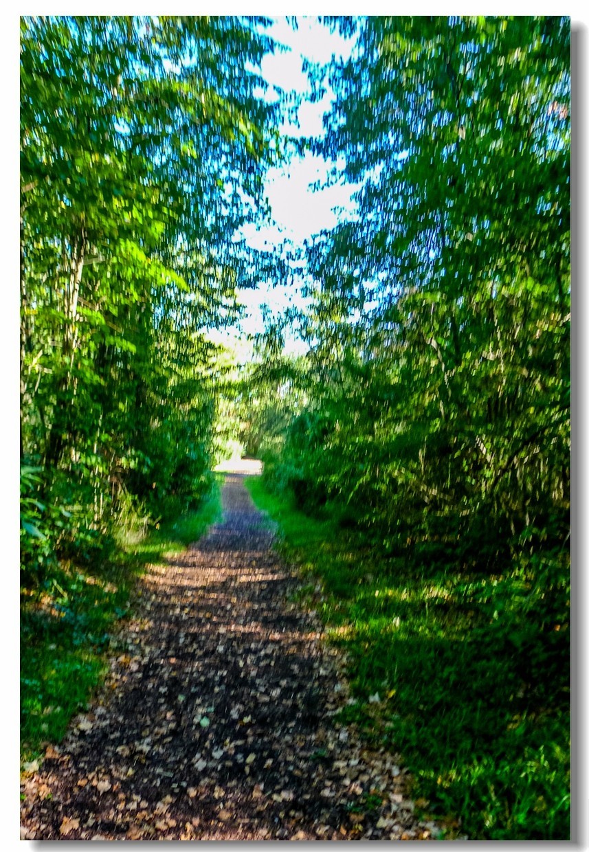 骑行间纪实（南德莱茵河岸画廊）