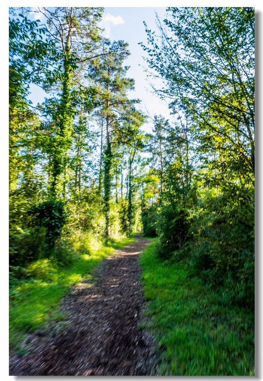 骑行间纪实（南德莱茵河岸画廊）
