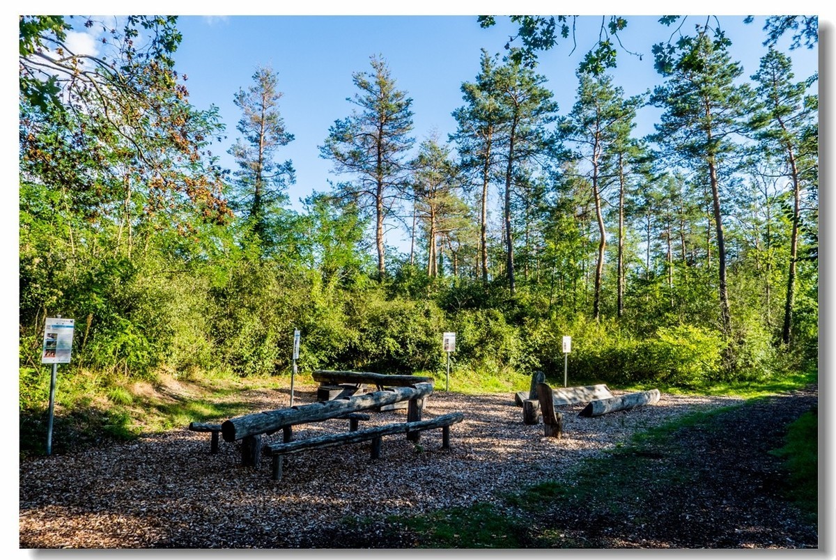 骑行间纪实（南德莱茵河岸画廊）