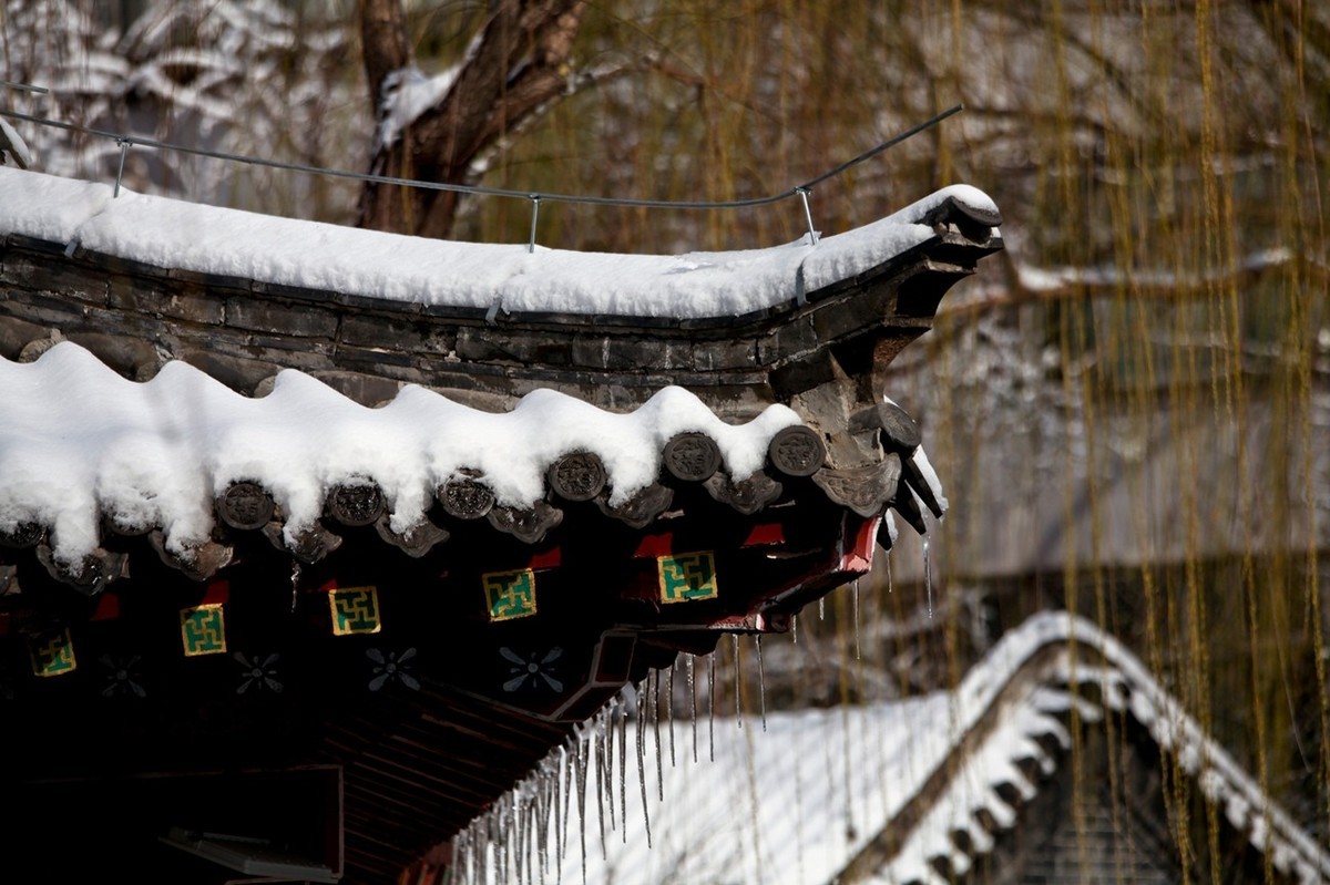 济南——大雪后景色