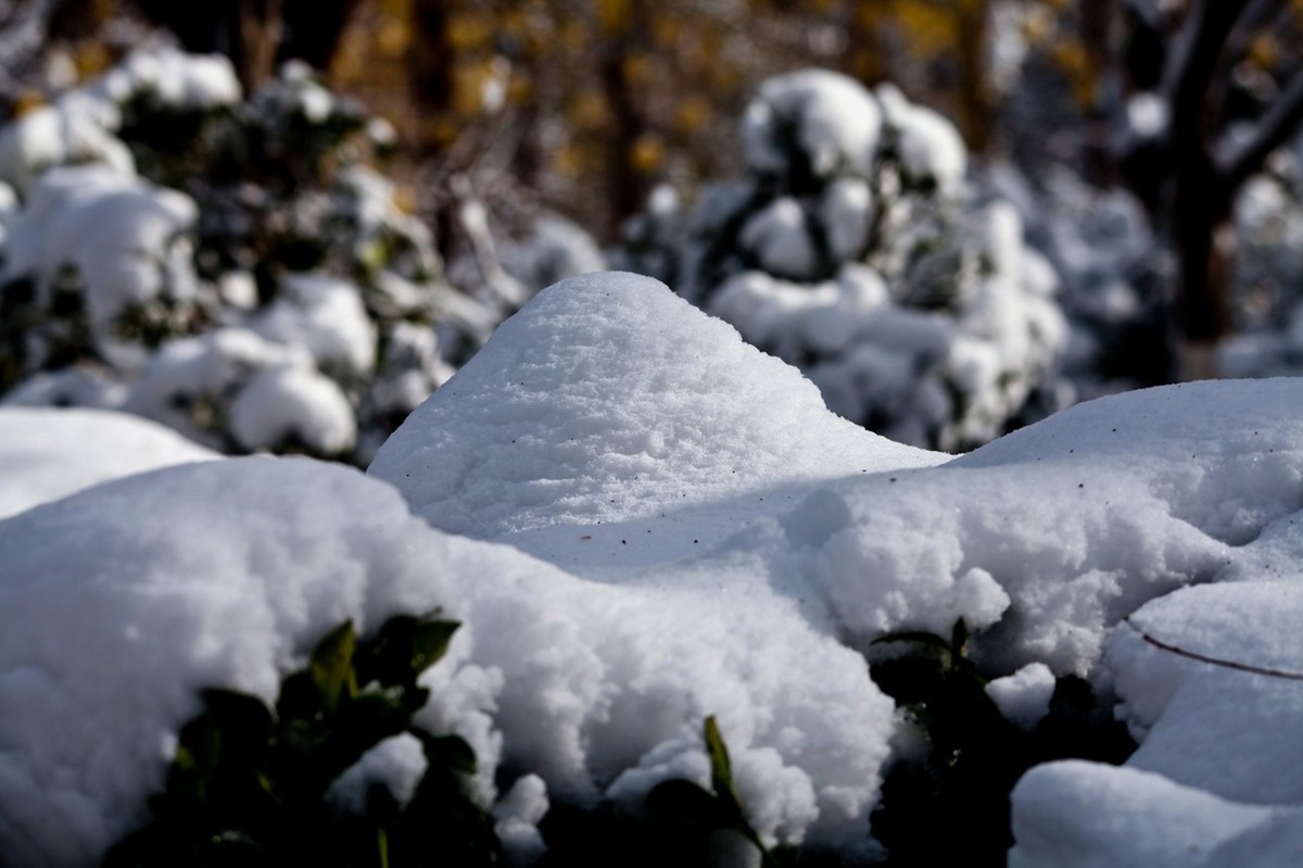 济南——大雪后景色