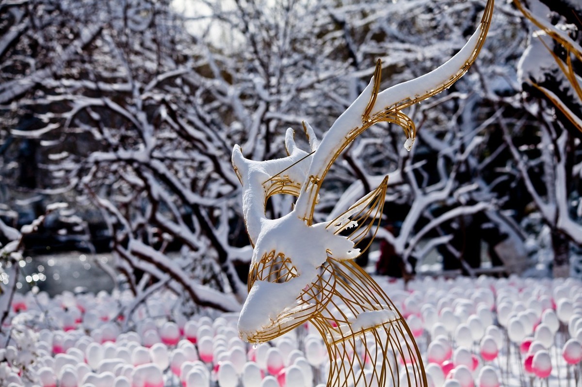 济南——大雪后景色