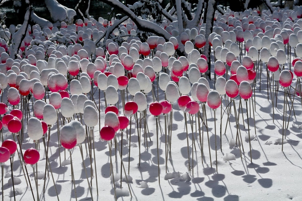济南——大雪后景色