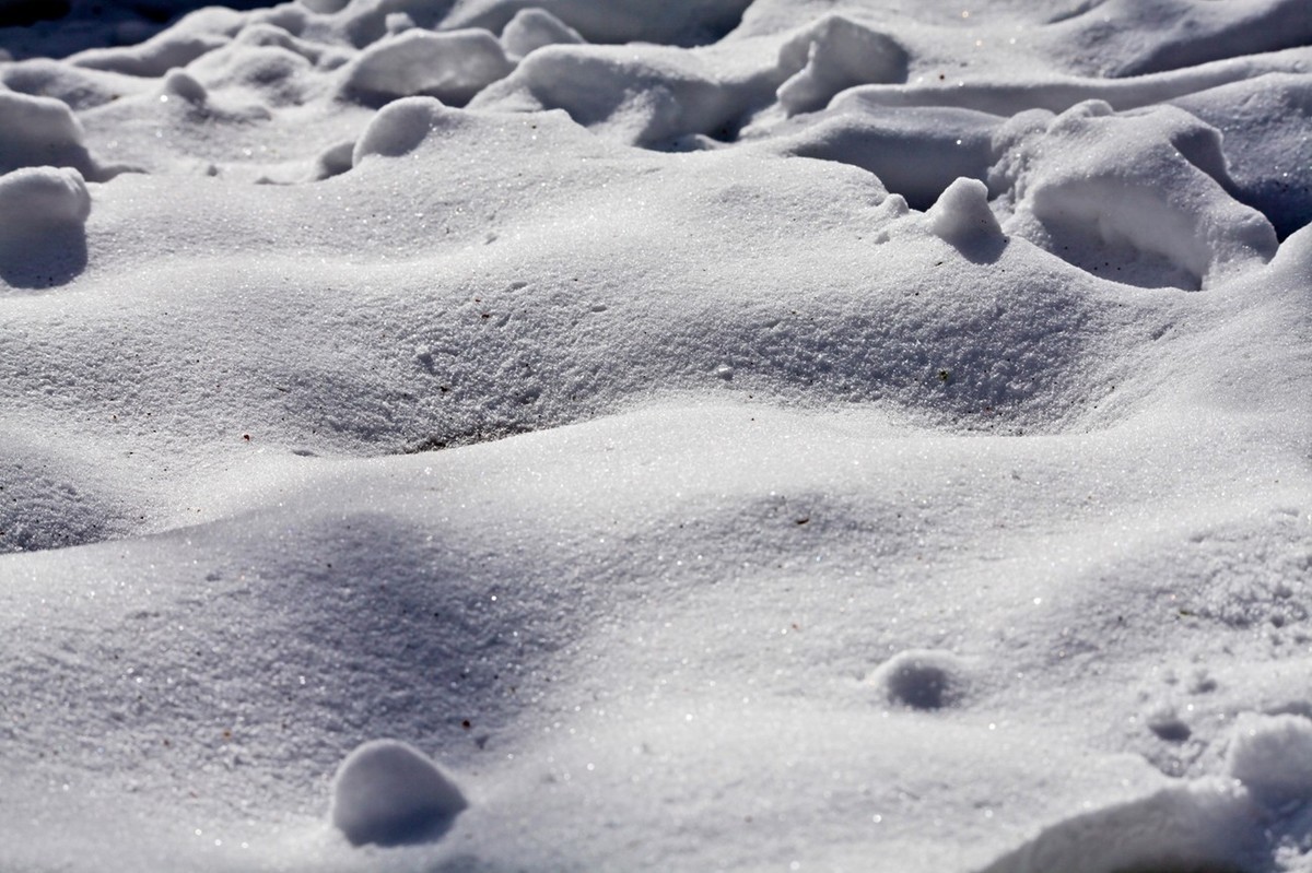 济南——大雪后景色