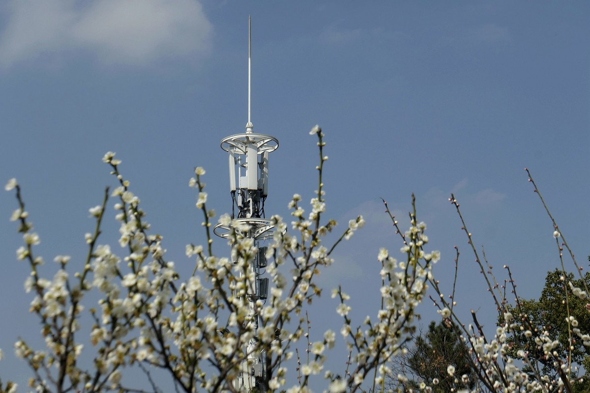 森林公园梅花山二