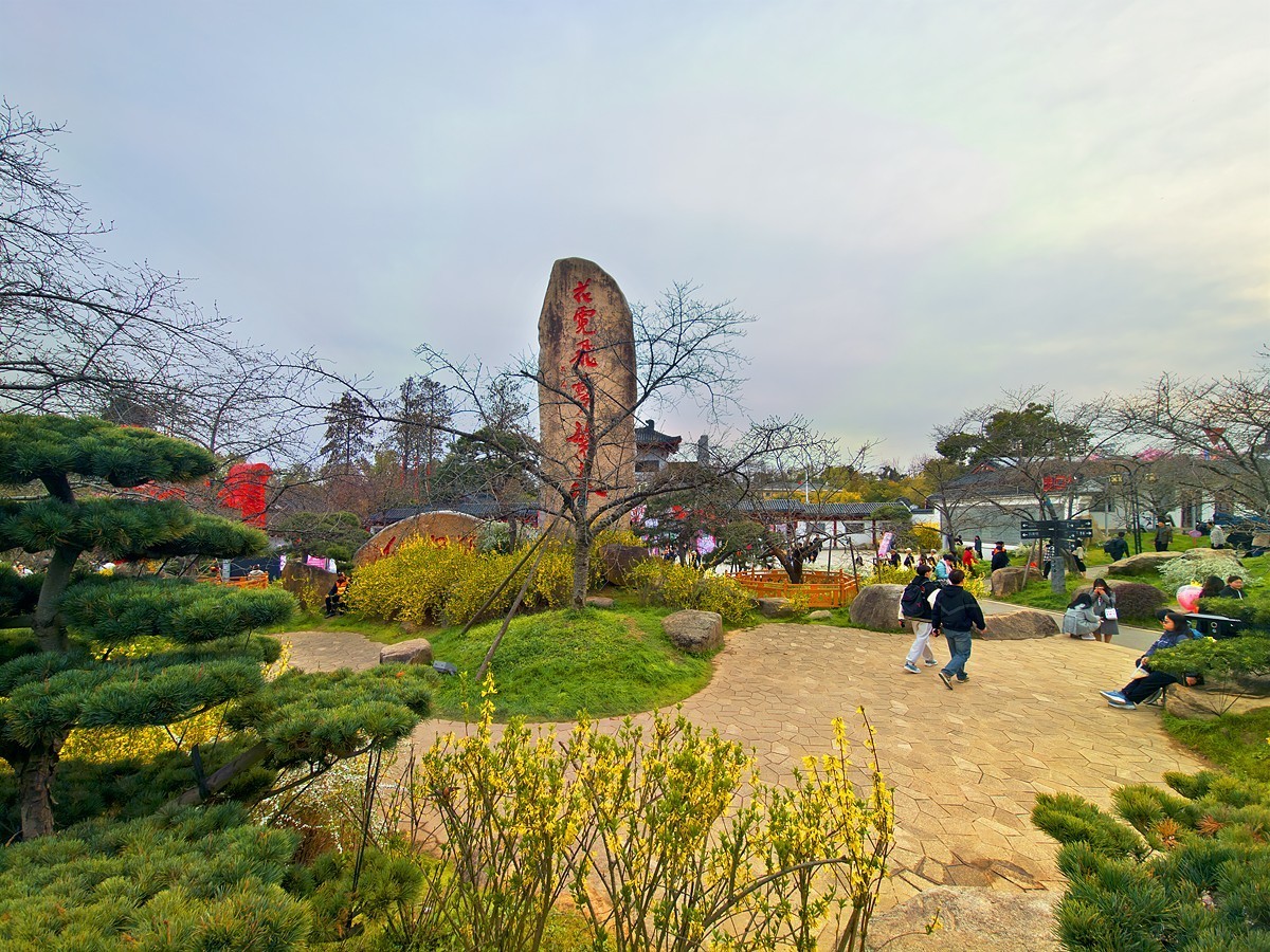 武汉东湖樱花园6