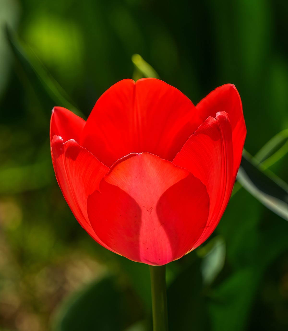 春游中山公园20250403 《7》