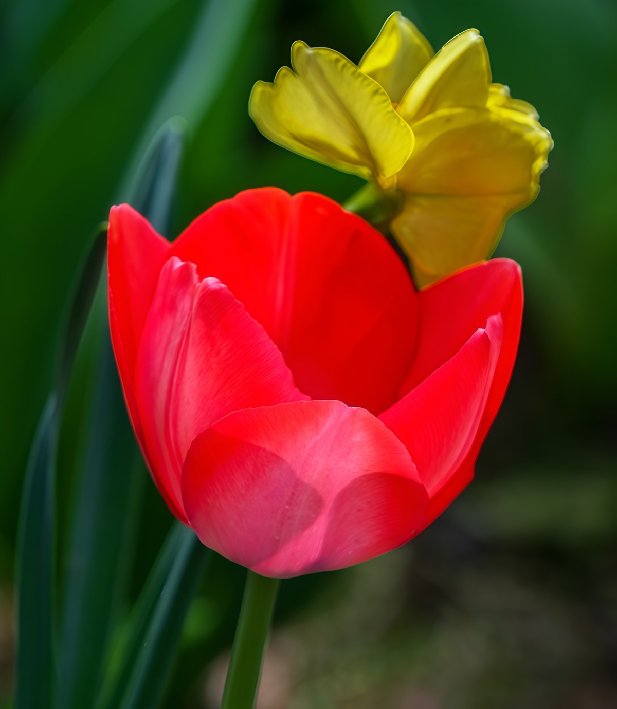 春游中山公园20250403 《7》