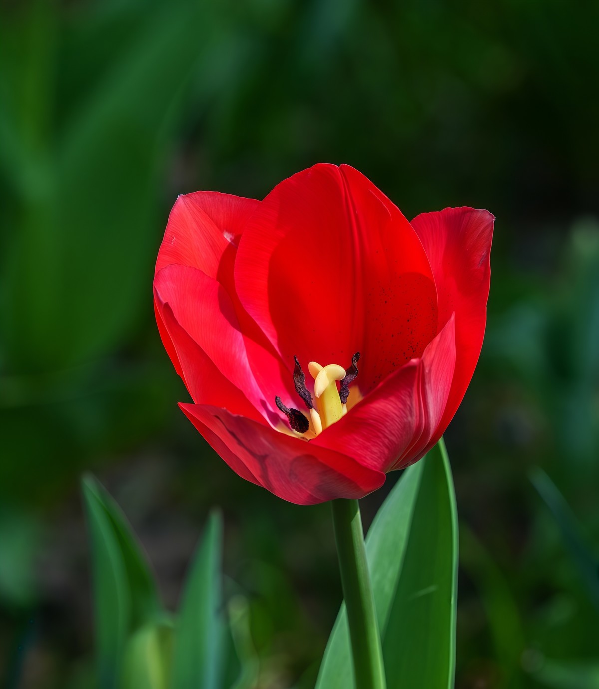 春游中山公园20250403 《7》