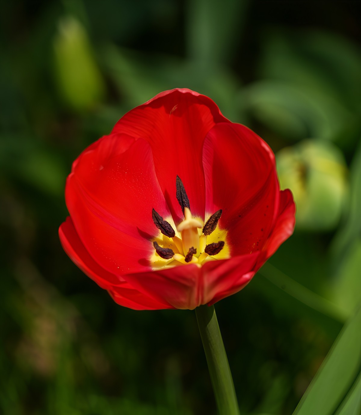 春游中山公园20250403 《7》