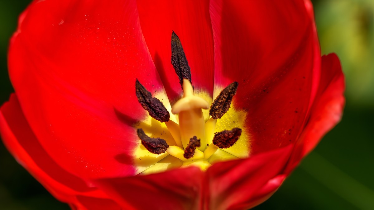 春游中山公园20250403 《7》