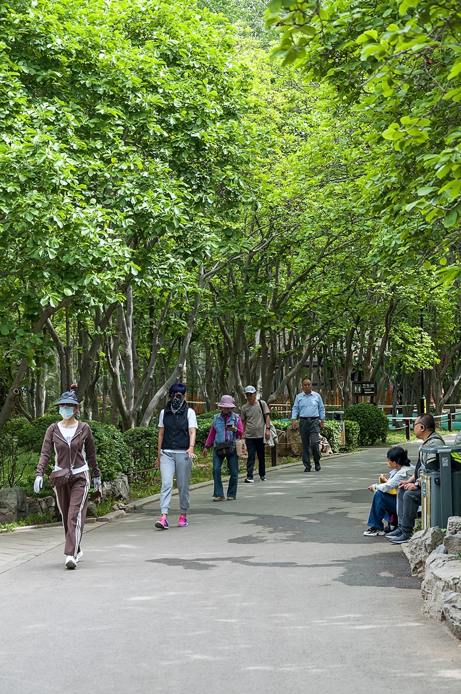 百花公园的春天-5