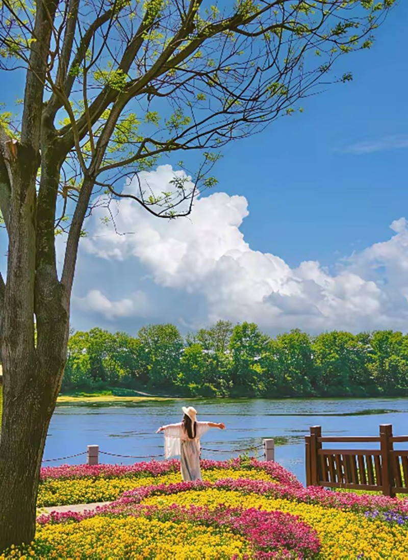 长沙县印山湖风景