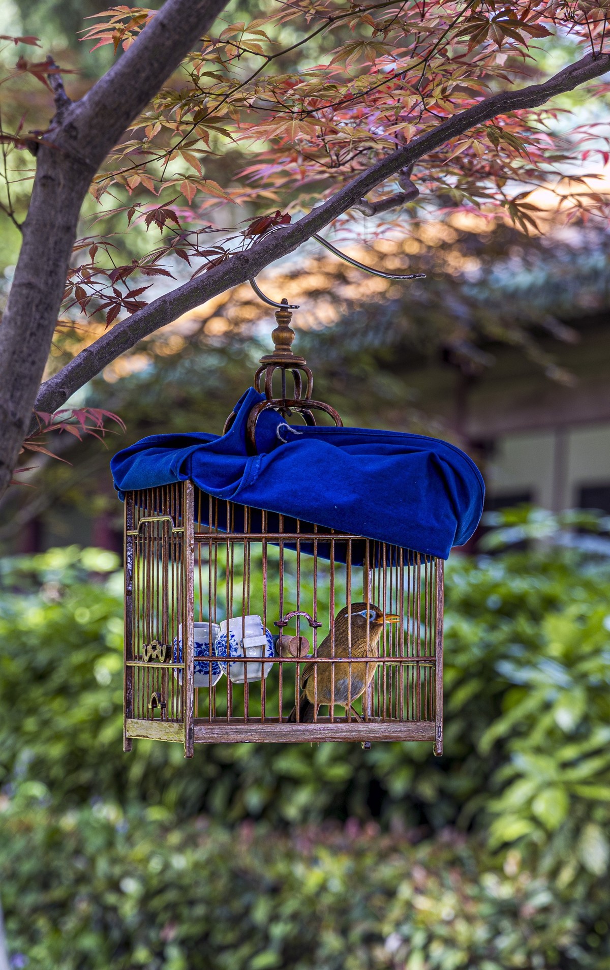 阅江楼风景独好！