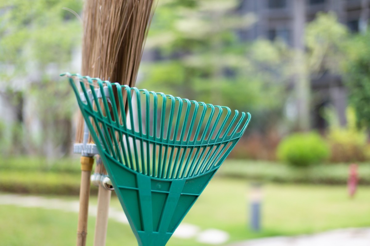 国产镜头 永诺 50mm F1.4 值得拥有