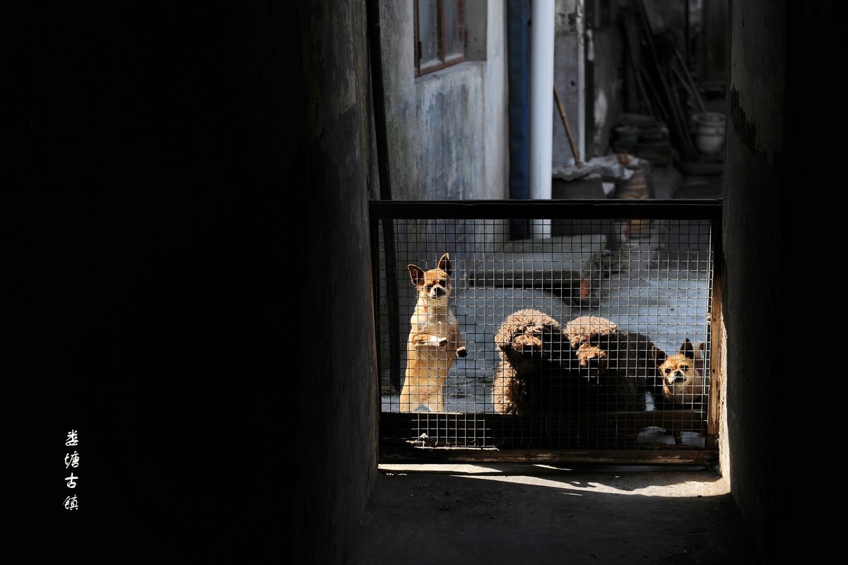 古镇掠影系列-娄塘