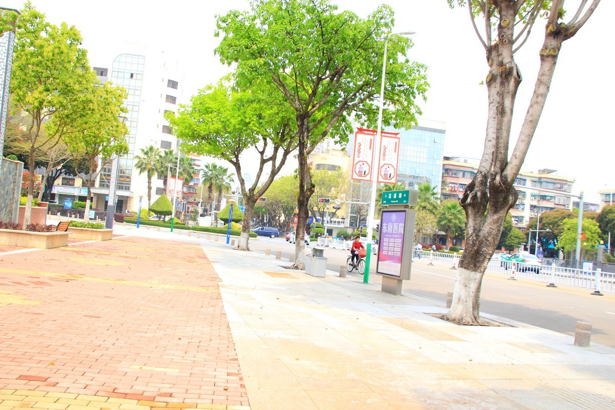 返回列表发表新帖签到 美丽的集美湾海边风光摄影机-2