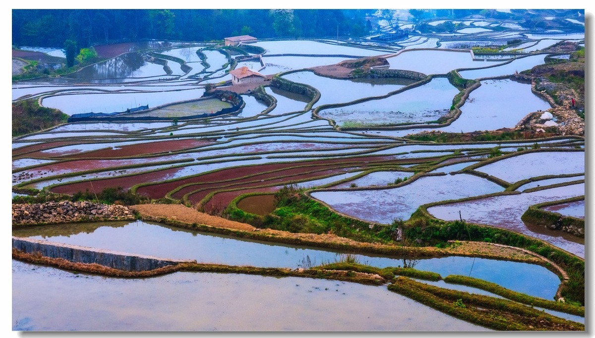 雾蒙蒙中的元阳梯田