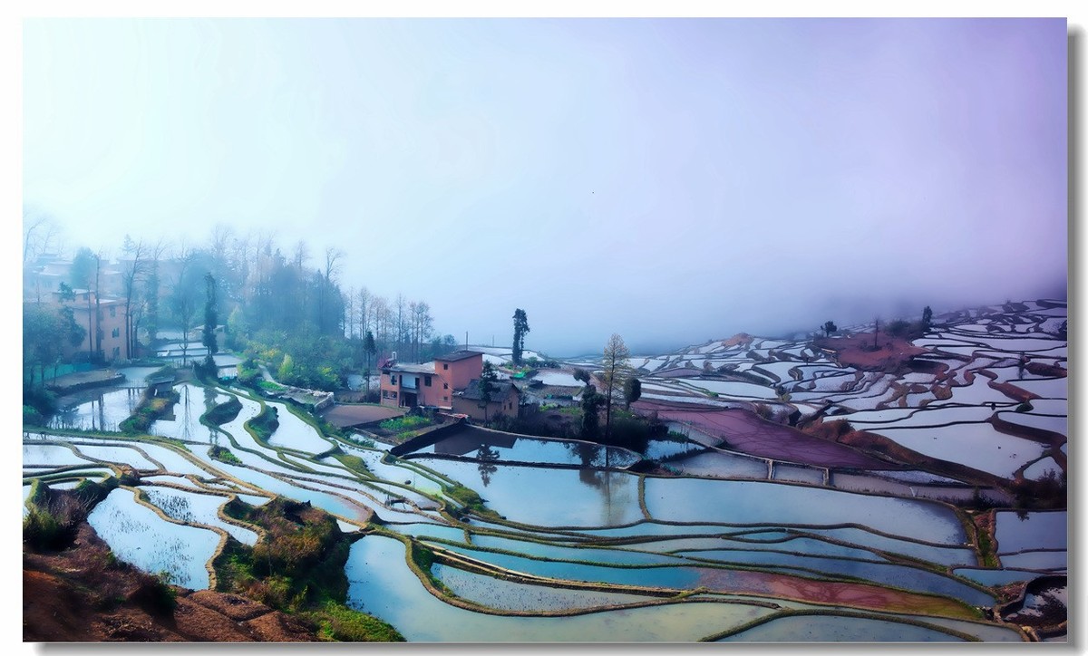 雾蒙蒙中的元阳梯田