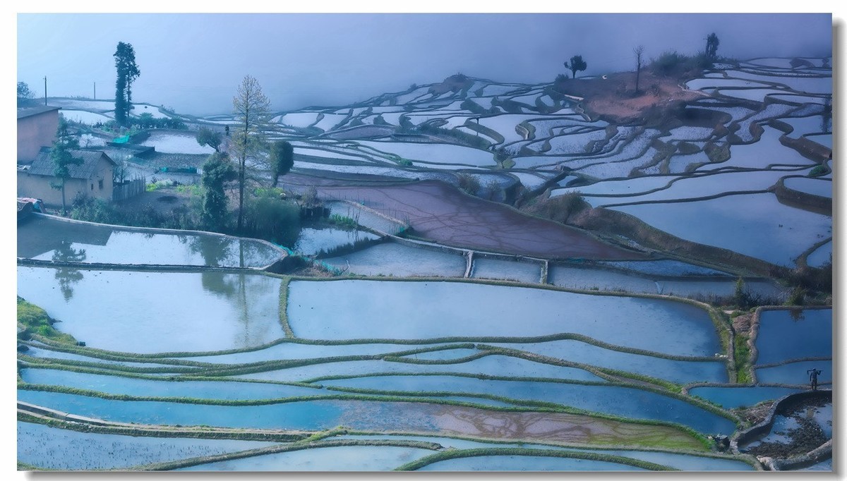 雾蒙蒙中的元阳梯田