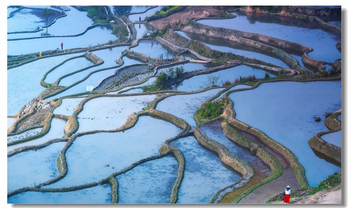 雾蒙蒙中的元阳梯田