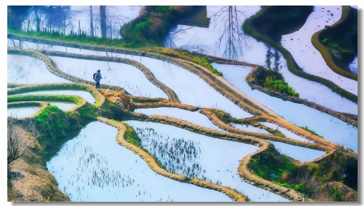 雾蒙蒙中的元阳梯田