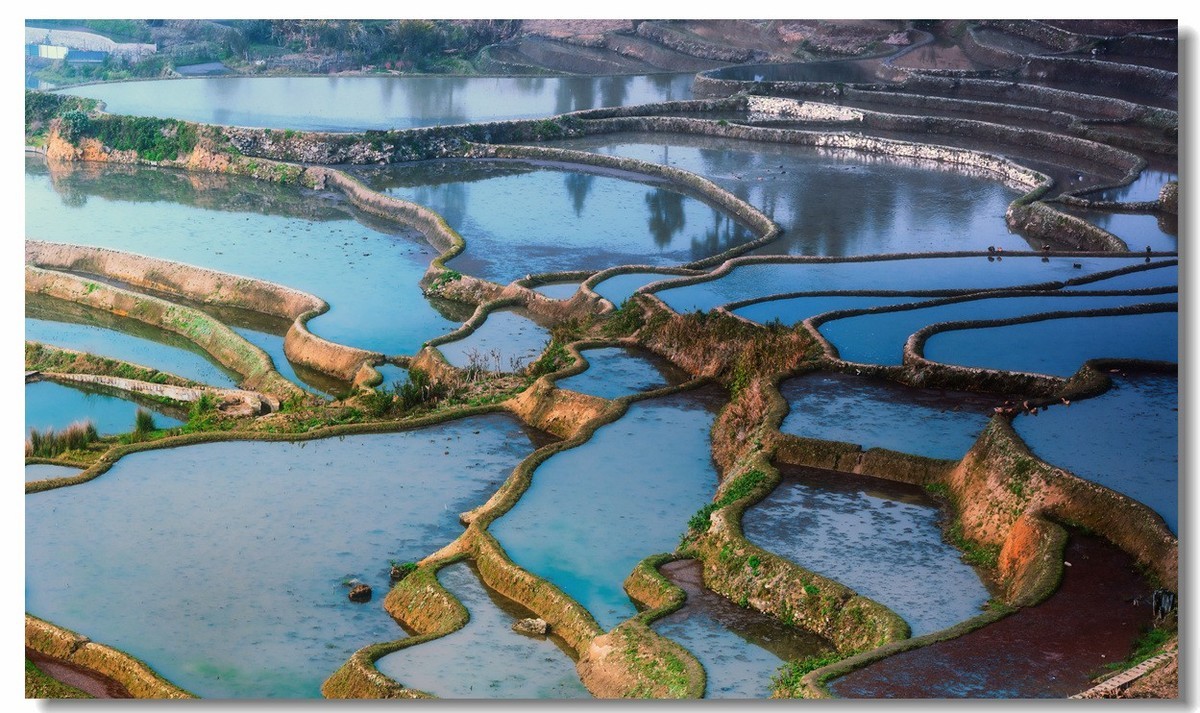 雾蒙蒙中的元阳梯田