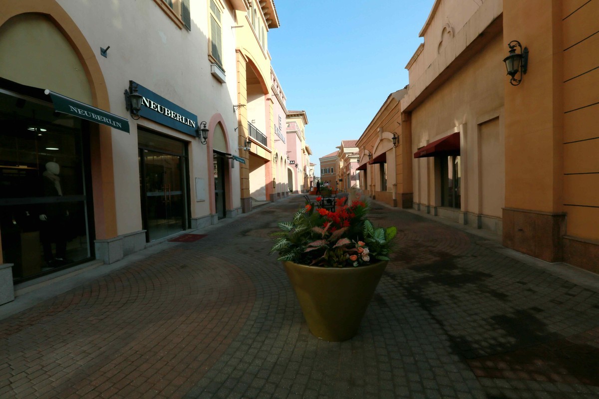 2024年元月拍商城