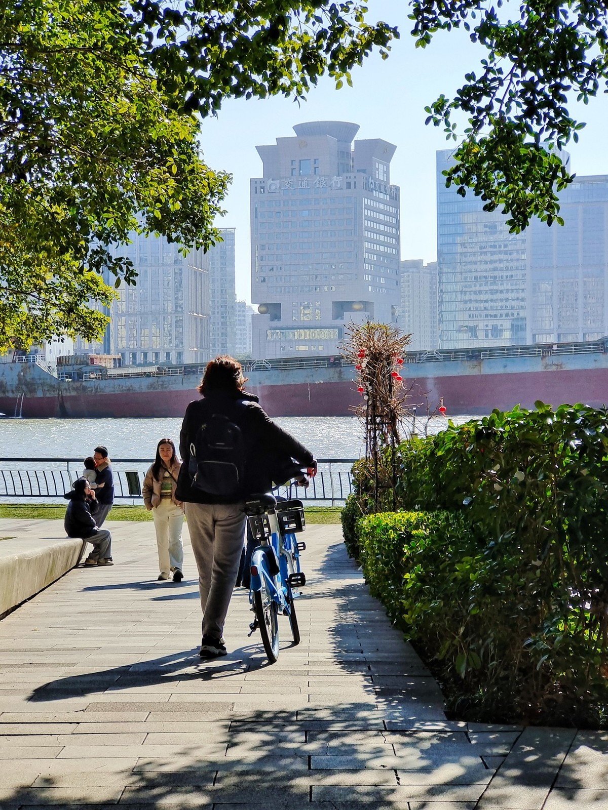 浦江东岸滨江（2）