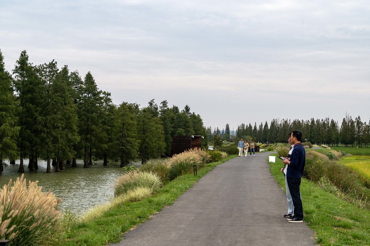 庐州印象（388）