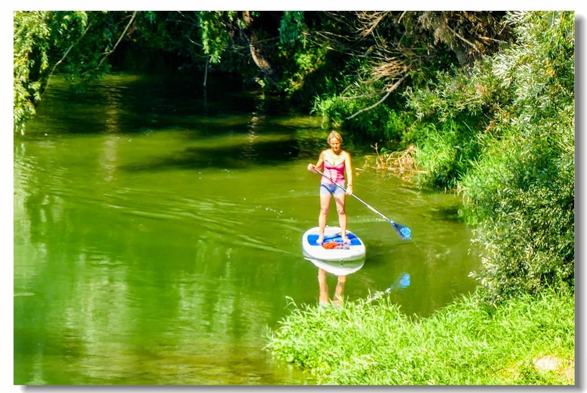 “莱茵河”写真