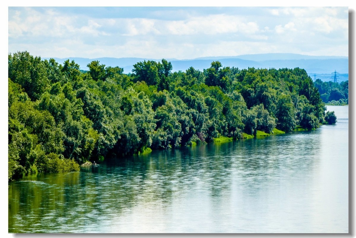“莱茵河”写真